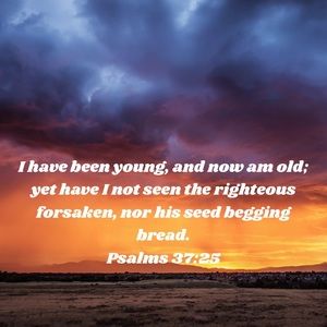 ✨All Menswear $25 or more FREE SHIPPING ✨